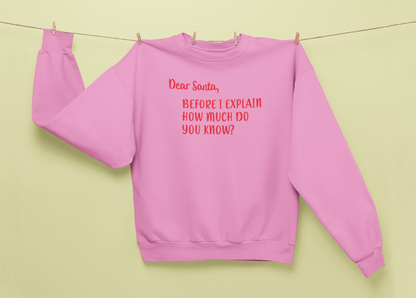 Dear Santa, Before I Explain How Much Do You Know?- Man or Woman Adult Sweatshirt