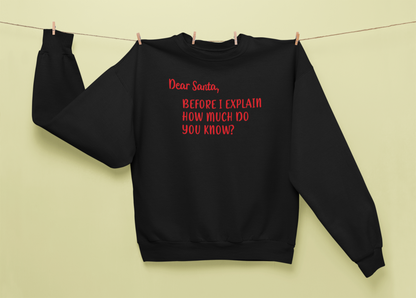 Dear Santa, Before I Explain How Much Do You Know?- Man or Woman Adult Sweatshirt